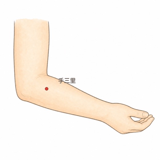 手三里(LI10)の位置イラスト